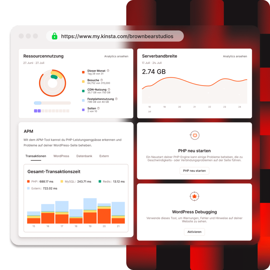Das MyKinsta-Dashboard