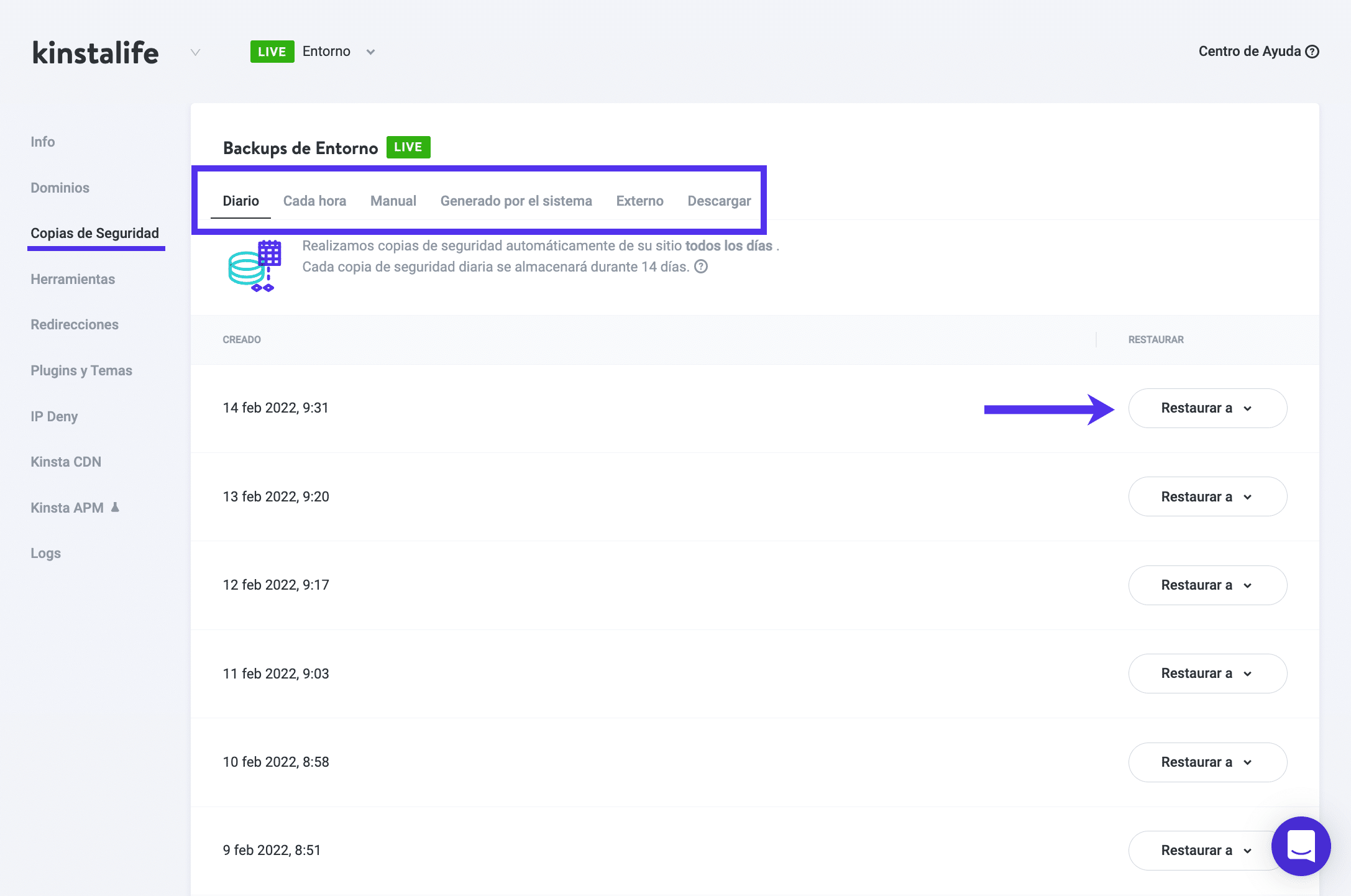 Las copias de seguridad de MyKinsta