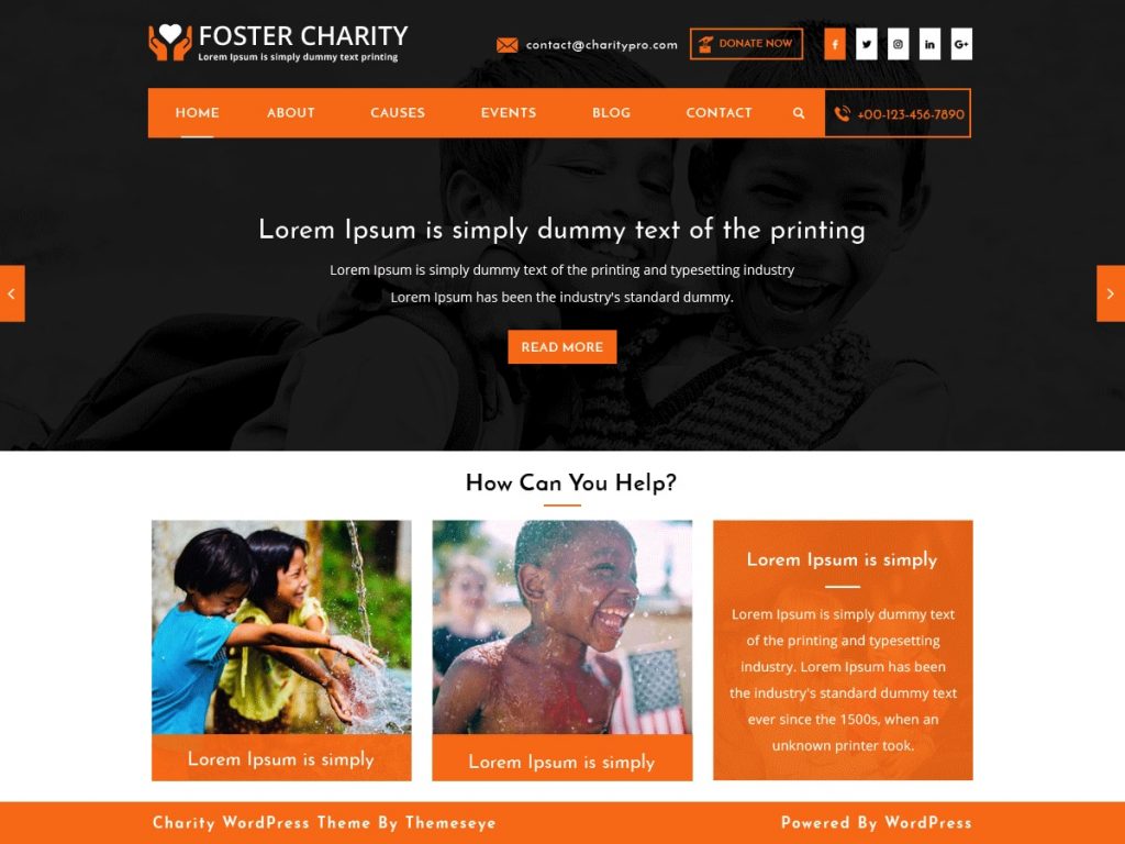 Foster Charity