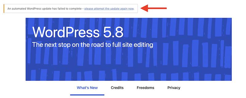 WordPress Error:
