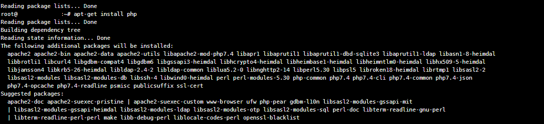 PHP über das Terminal installieren