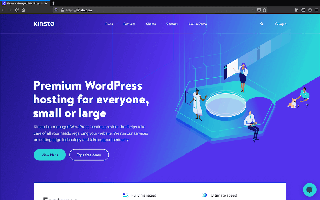 The Kinsta home page. La page d'accueil de Kinsta.