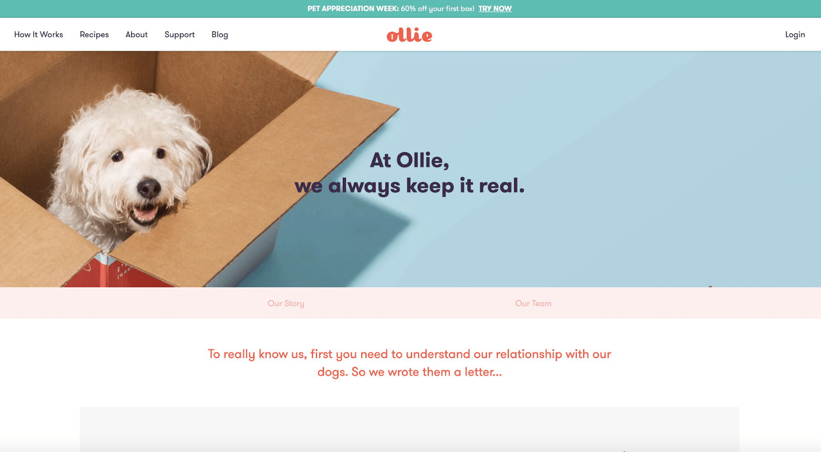 Page À propos de nous de Ollie.