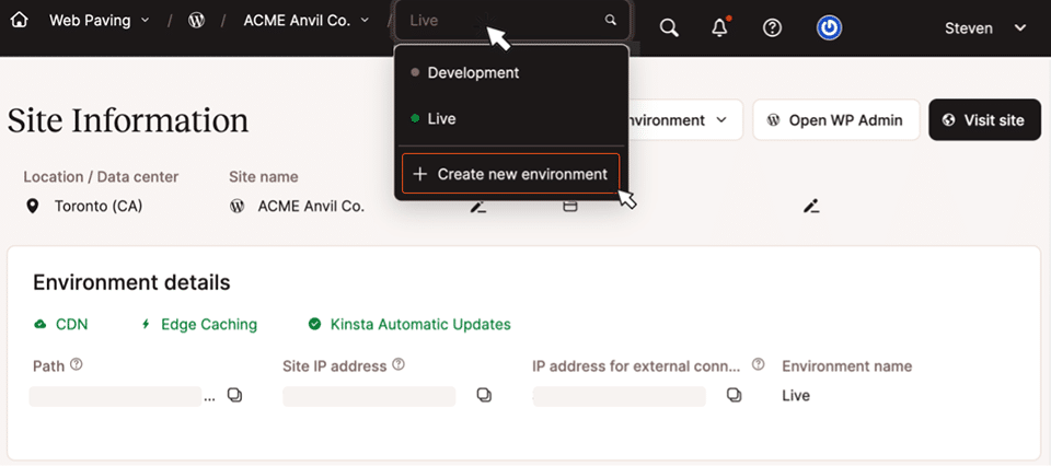 Comienza el proceso de creación de un nuevo entorno de staging en MyKinsta.